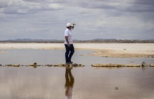 Bolivia, Colombia, Ecuador y Perú lanzarán «aplicaciones» conjuntas para publicar rutas turísticas. ¿Cómo funcionará y cuándo estará listo?