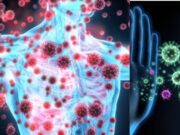 Los científicos descubren cómo rejuvenecer el sistema inmunológico y combatir nuevas enfermedades